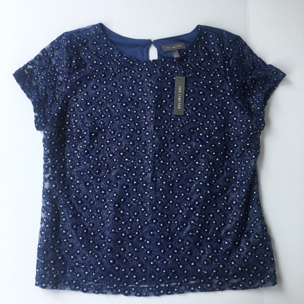 The Limited Blue Silver Sparkly Top Embroidery Shirt Top Short Sleeve Medium NWT